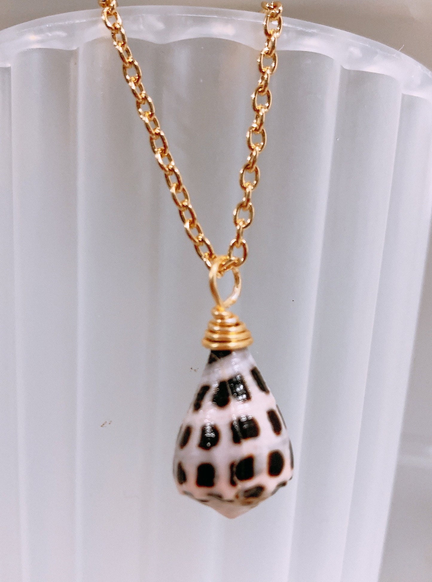 Hebrew come shell pendent with Hamilton gold necklace