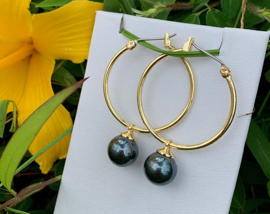 Hoop Rainbow shell Pearls Earrings: Hamilton Gold Earring with Shell Pearls