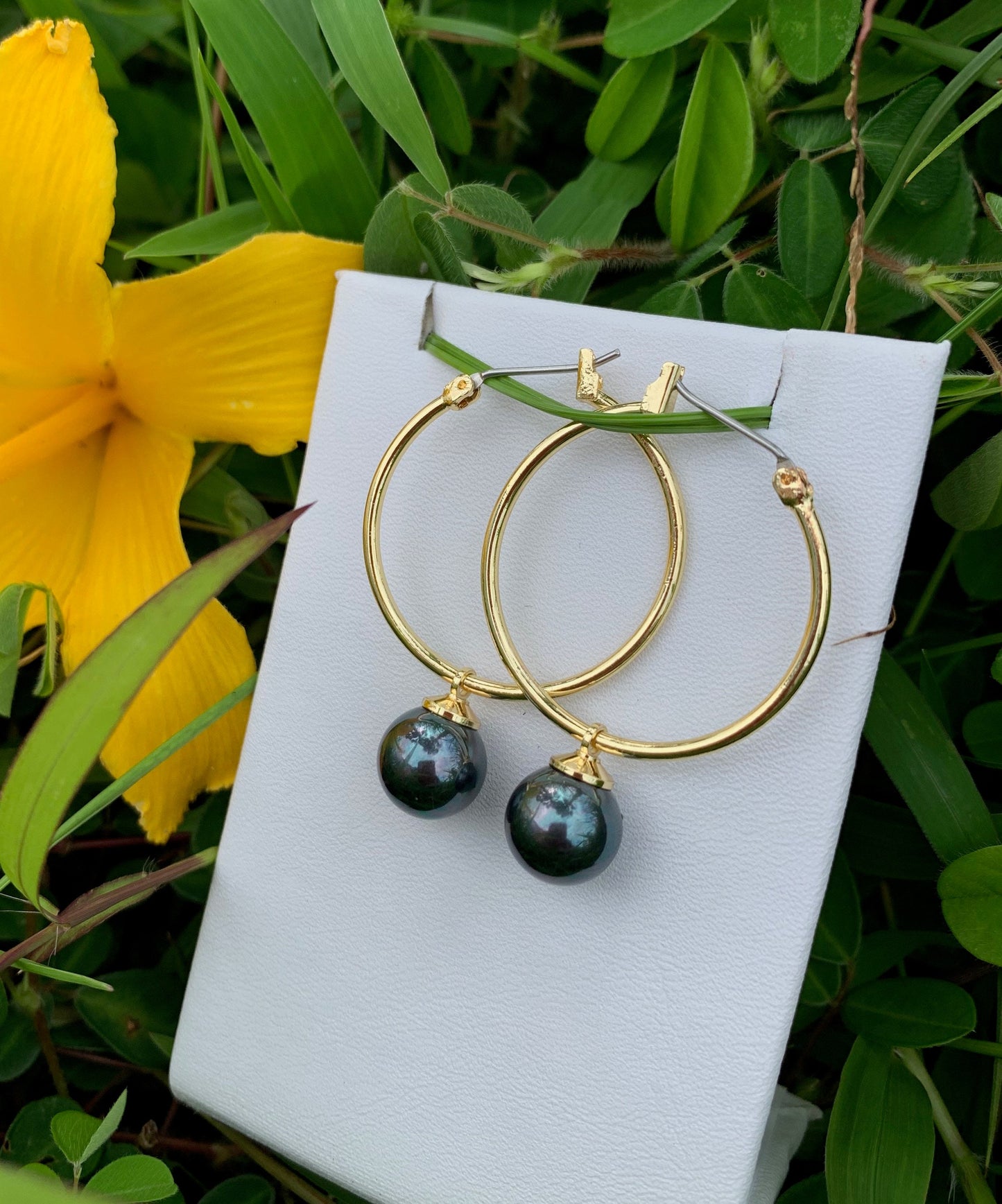 Hoop Rainbow shell Pearls Earrings: Hamilton Gold Earring with Shell Pearls